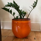 Phoebe T review photo
