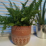 Damaris S review photo