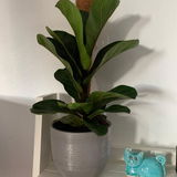 Alexanne W review photo