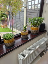 Lindy Ceramic Plant Pots, Ochre Yellow, House Plant Pot in Multiple Sizes