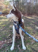 Brandy Monson review photo