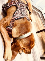Jami Tuesday review photo