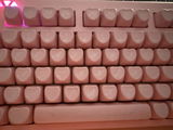 Damarilis Torres review photo