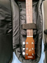 ras401 review photo