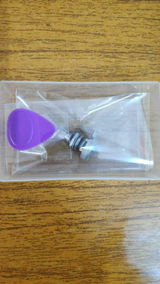 chongary review photo