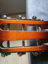 nzlina review photo