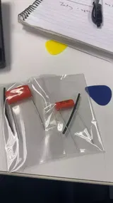 lanzaafame review photo