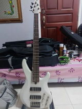 penghunikota79 review photo