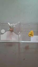 Skkedaionline review photo