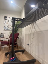 The Stu Cat review photo