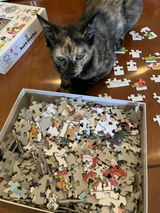 Josephine’s mom review photo