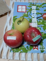 匿名 review photo