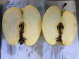 KSG_ababc review photo
