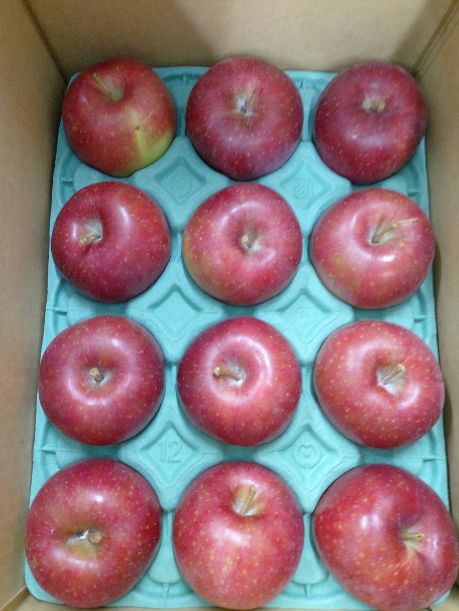 恋空(こいぞら) | りんご通販 | 青森りんご | RED APPLE（レッド