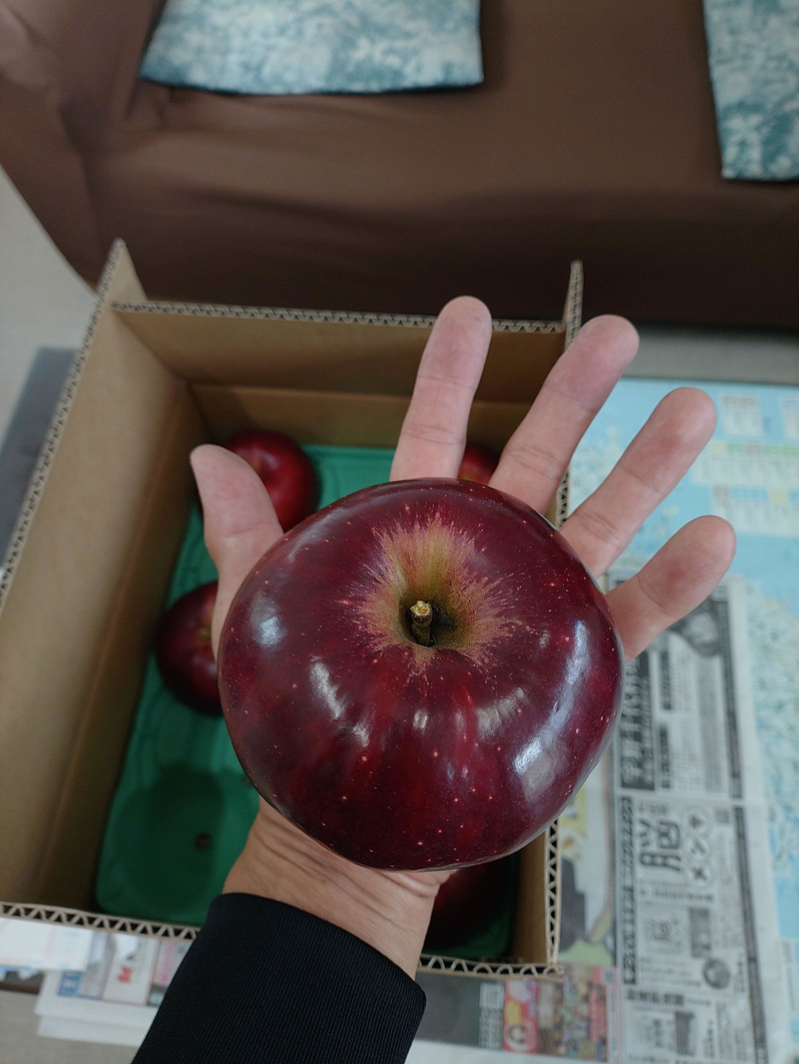 紅玉(こうぎょく) | りんご通販 | 青森りんご | RED APPLE（レッド