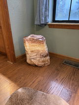 Red Stone Fossils 