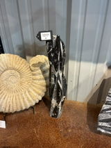 Red Stone Fossils 