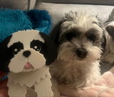 Etsy customer review photo