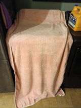 Destany l. review photo