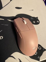 Shelby review photo