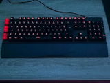 Seb review photo