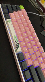 Jacob Trudeau review photo