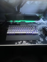 Roshane Edwards review photo