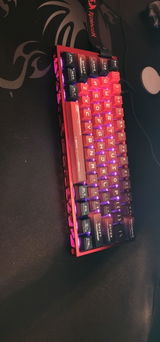Marcus Felix review photo