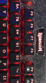 Dejunai review photo
