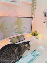 cozygirl.vic review photo