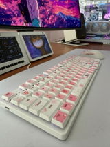Katakombcat review photo