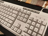 Nathan review photo