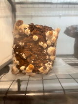 A D review photo