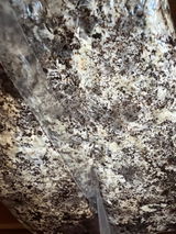 Wilder review photo