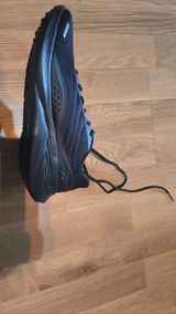 LK2009 review photo