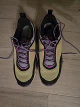 Lynne P. review photo