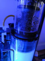 Jack Wang review photo