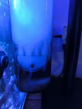 Jack Wang review photo