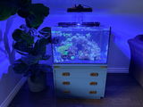 Ryan Lowe review photo