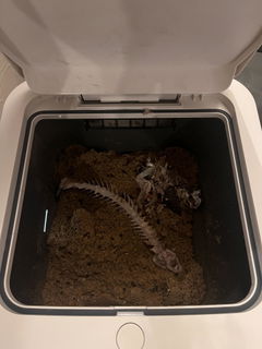 Review picture