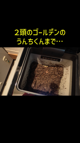 道臣 時任 review photo
