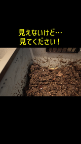 道臣 時任 review photo