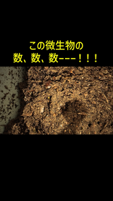 道臣 時任 review photo