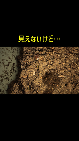 道臣 時任 review photo