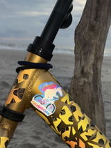 Lisa review photo