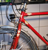 Bine review photo