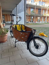 Quang review photo