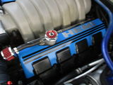 Steve R. review photo