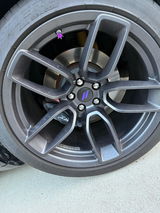 Rachal B. review photo
