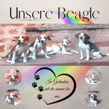 Birgit Kahle review photo